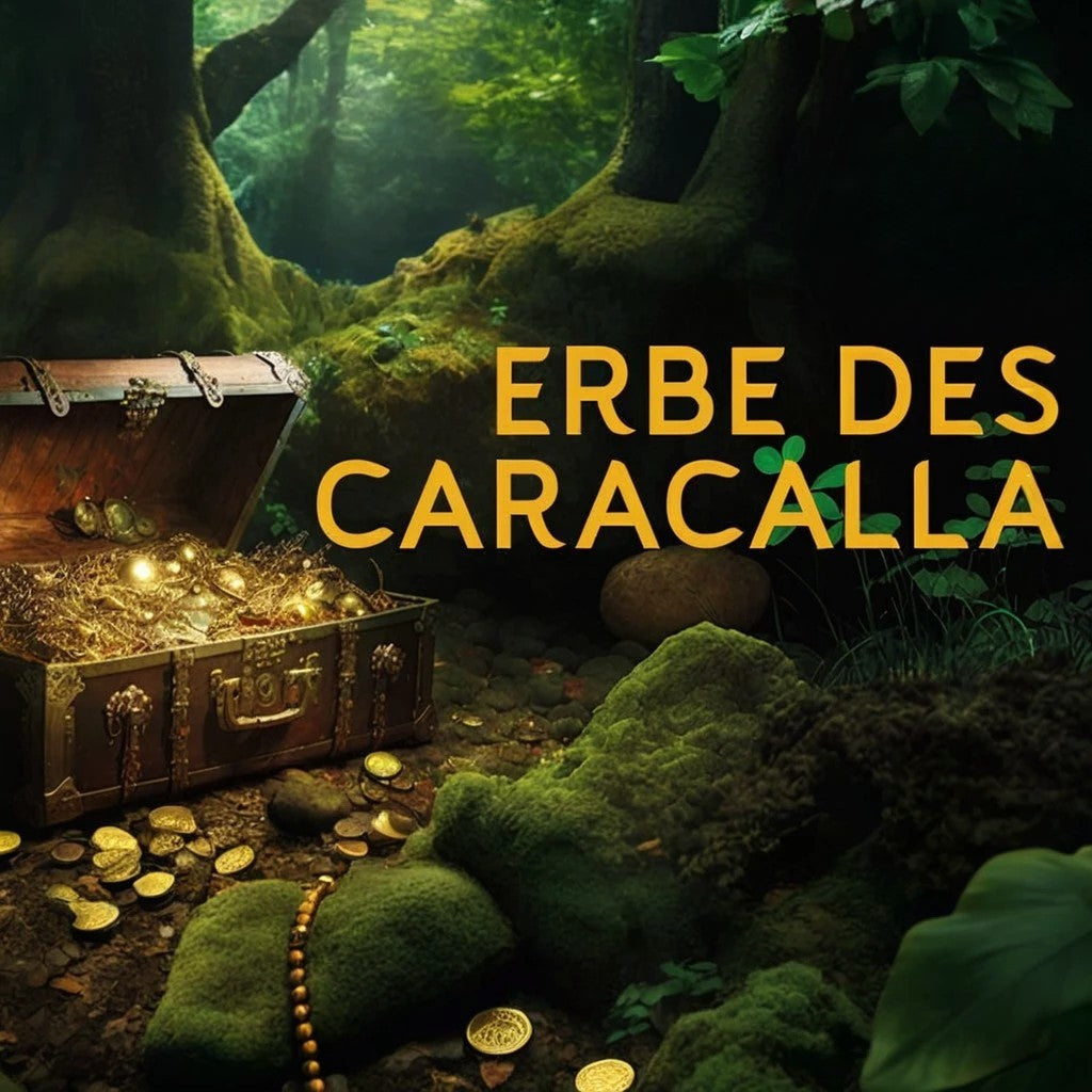 TICKET: ERBE DES CARACALLA - ASCHACH